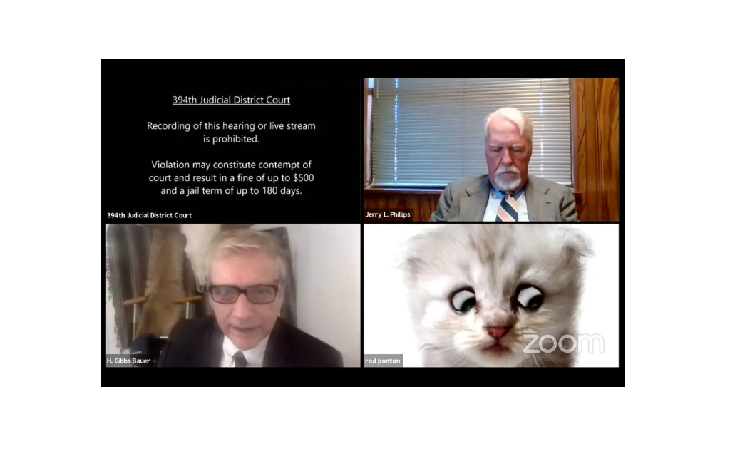 Judge, I'm not a cat!