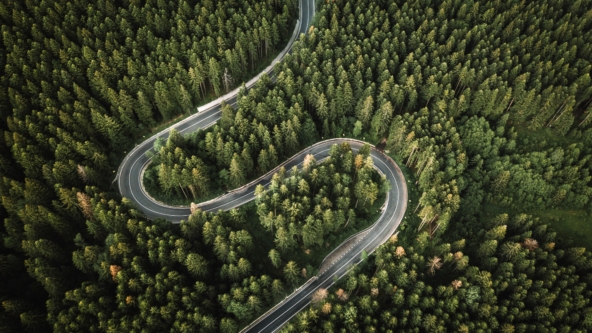 Why being a B Corp matters to us